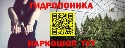 трава Владимир