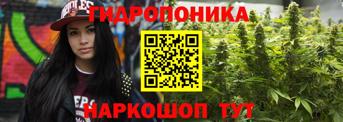 Верхняя Пышма  Конопля сатива  Бошки Шишки семена  Вход с VPN  МАРИХУАНА индика  Шишки марихуана планчик 